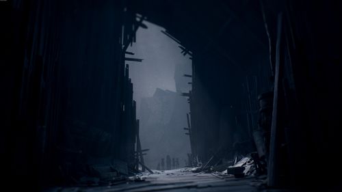Gra Xbox Series PLAION REANIMAL na Arena.pl