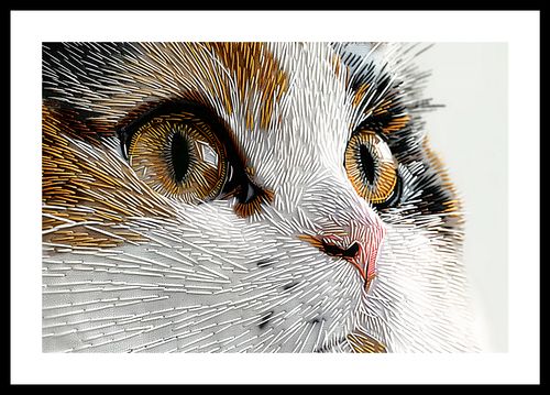 Plakat 45x30cm Nitkowany Kot na Arena.pl