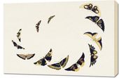 Obraz 90x60cm Butterfly 6, Sekka Japoński Vintage do Salonu