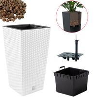 product-compare-55158482