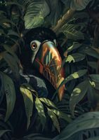 Plakat 42x59,4cm Skryty Tukan