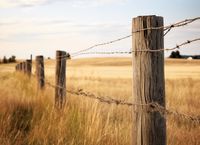 Plakat 55x40cm Płot na Polu