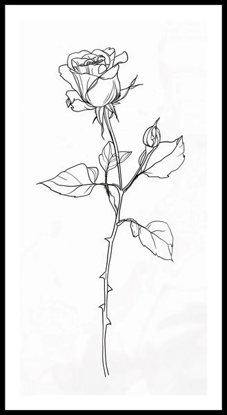 Plakat 50x100cm Kontur Róży zdjęcie 3