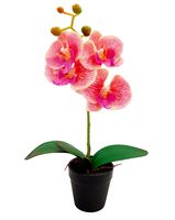 STORCZYK SZTUCZNY storczyki kwiat ORCHIDEA 38cm 5