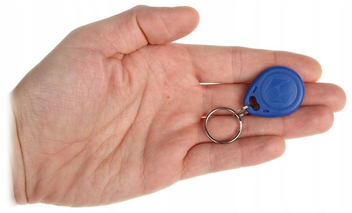 20szt. BRELOK PASTYLKA PESTKA do domofonu 125 kHz TAG RFiD kontrola dostępu zdjęcie 4