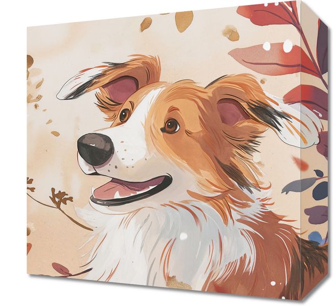 Obraz 30x30cm Collie Jesienną Porą zdjęcie 1