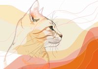 Plakat 84,1x59,4cm Delikatny Profil Kota