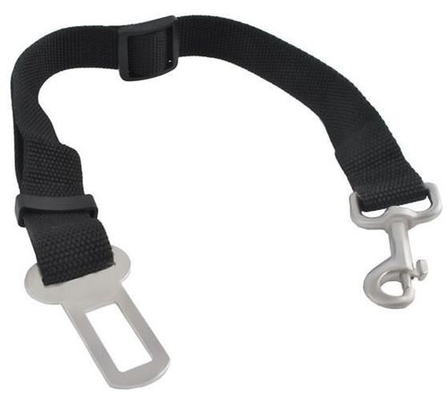 Pasy dla psa - smycz do samochodu na Arena.pl
