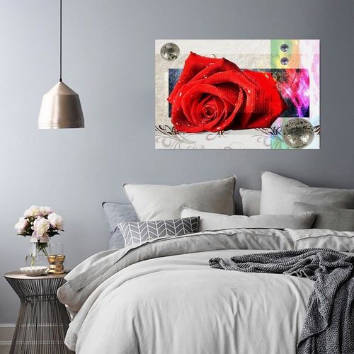Obraz na płótnie - Canvas, Czerwona róża 70x50 na Arena.pl