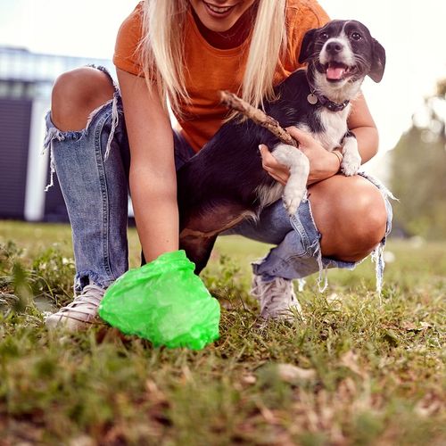 WORKI WORECZKI NA PSIE ODCHODY KUPY KUPA PSA TOREBKI MOCNE ZESTAW 1500 SZT na Arena.pl