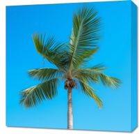 product-compare-59476796