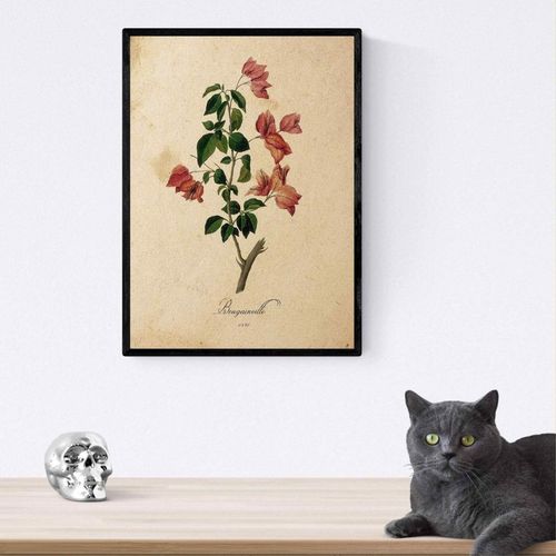 plakat obraz kwiaty vintage a4 na Arena.pl