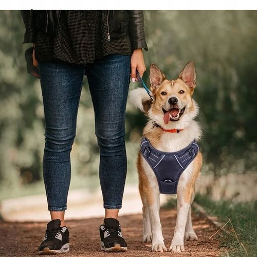 SZELKI BEZUCISKOWE dla dużego psa typu GUARD ELITE XL dla owczarka czar na Arena.pl