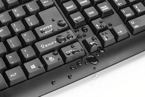 ClassicLine Keyboard na Arena.pl