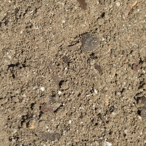 Podłoże dla żółwia stepowego greckiego lądowego Testudo Soil Original 25 L na Arena.pl