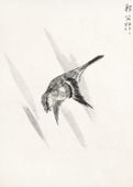 Plakat 50x70cm  Cuckoo, Kashu Japoński Vintage do Salonu
