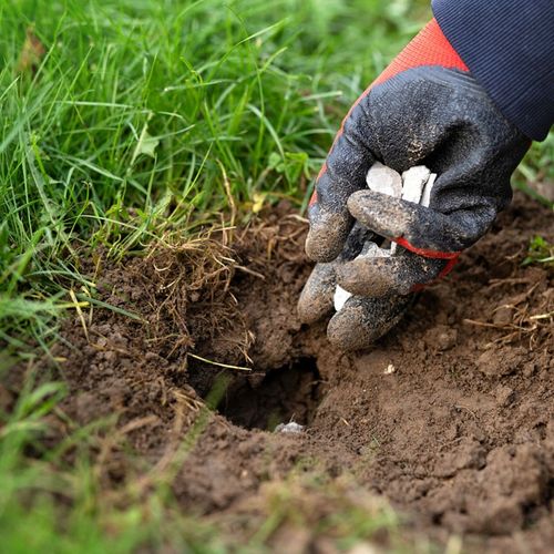 KARBID GRANULOWANY ŚRODEK NA KRETY ODSTRASZACZ KRETA KRETÓW KARBIT = na Arena.pl