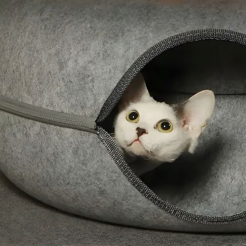 Legowisko tunel donut domek posłanie zabawka antystresowe dla kota okrągły na Arena.pl