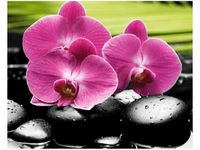 40X50CM STORCZYKI KAMIENIACH OBRAZ