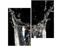 60X60CM PLUM TAMBAKO THE JAGUAR DWU OBRAZ ŚCIAN