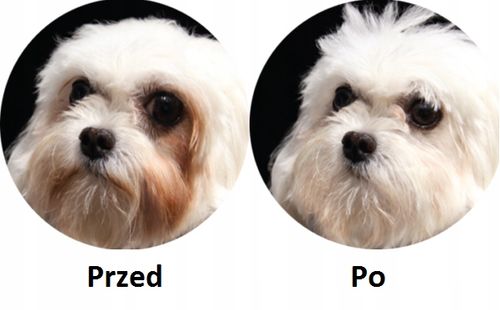 Karma Nature’s Protection dla maltańczyków 1,5 kg STOP ZACIEKOM na Arena.pl