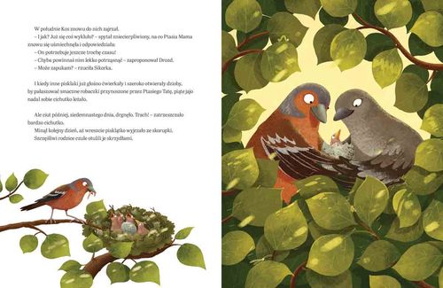 Jutro będę dzielny na Arena.pl