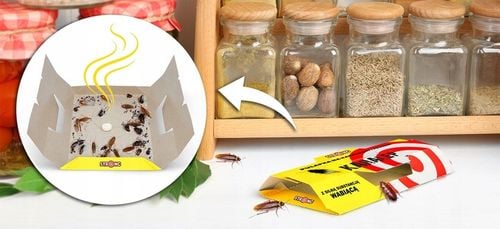 PUŁAPKA LEP NA KARALUCHY I PRUSAKI KARALEP STRONG Z SILNYM WABIKIEM 5 na Arena.pl