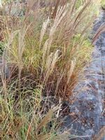 product-compare-51888978