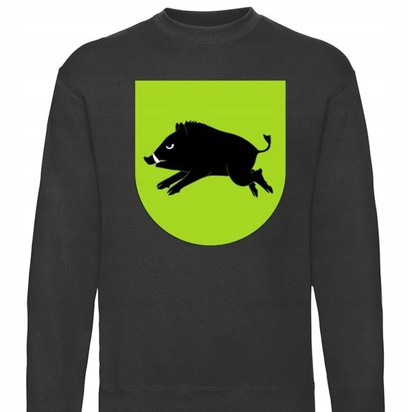 bluza B-CZ gmina Kiernozia zdjęcie 1