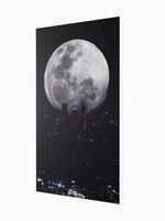 Grzejnik dekoracyjny z OBRAZEM ART19. 545x970