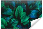 Fototapeta Do Jadalni TROPIKALNE Liście Efekt 3D Natura 360cm x 240cm