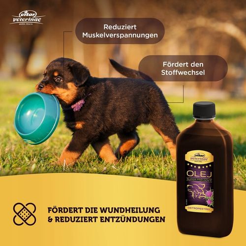 VITAR Veterinae Olej z Ostropestu 1000 ml - bogate źródło E witaminy+Omega na Arena.pl