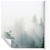 Fototapeta 3D Drzewa we Mgle Las do Sypialni 368cm x 254cm
