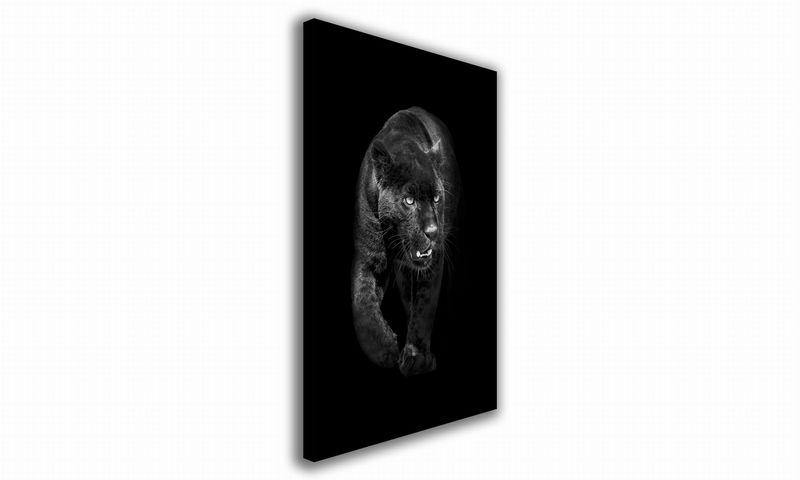 OBRAZ NA PŁÓTNIE 111 Pantera 30x40cm zdjęcie 1