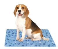 Mata Chłodząca Żelowa Dla Psów Kotów 60 x 90 cm