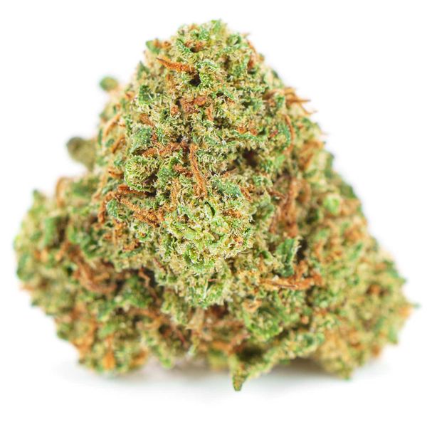 Susz konopny CBD  White Widow 10 g zdjęcie 3