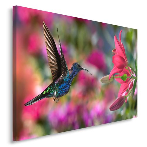 Obraz na płótnie - Canvas, Koliber 3 50x70 na Arena.pl