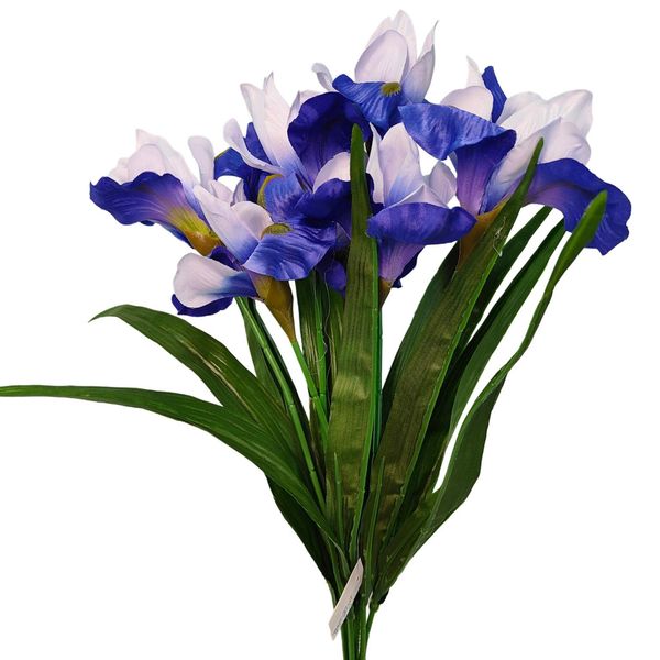 Bukiet irys biało niebieski zdjęcie 1