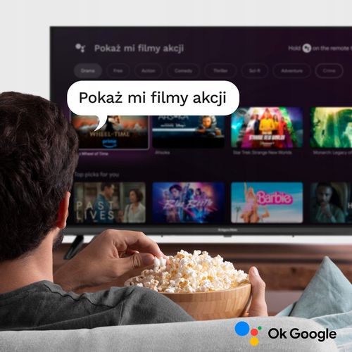 Telewizor 32'' HD Google TV Kruger&Matz DVB-T2/S2/T/C H.265 HEVC na Arena.pl