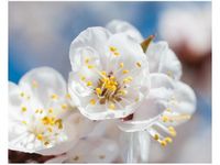 product-compare-58649002