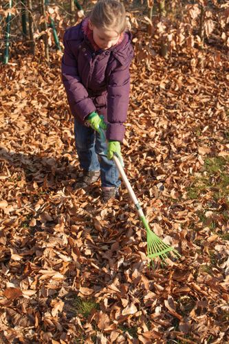 Dziecięce grabie do liści na Arena.pl
