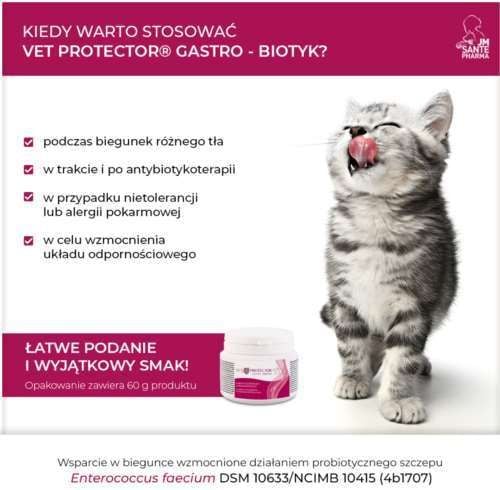 Vet Protector Gastro – Biotyk 60 gram na Arena.pl