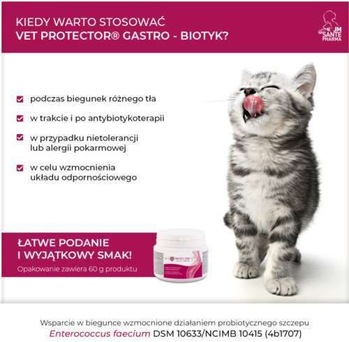 Vet Protector Gastro – Biotyk 60 gram zdjęcie 4
