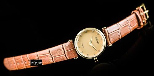 PERFECT A509 - brown (zp747b) na Arena.pl