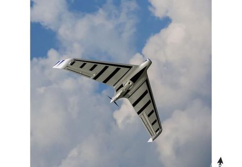 E-flite Opterra 2M Wing BNF Basic na Arena.pl