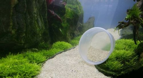 ADA La Plata Sand 8kg (piasek) na Arena.pl