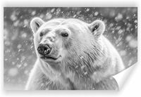 Fototapeta PREMIUM STRUKTURA ZMYWALANA tapeta na wymiar niedźwiedź polarny