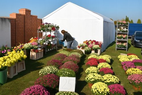 Namiot garażowy magazynowy 3x4 pawilon handlowy na Arena.pl