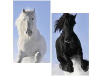 60X60CM BLACK&WHITE DWU OBRAZ ŚCIAN