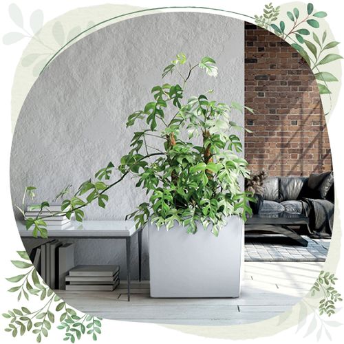 Doniczka wysoka Urbi Case T DUC600T z wkładem | Biały na Arena.pl